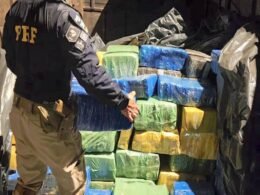 Caminhoneiro é preso transportando mais de 5 toneladas de maconha na BR-376