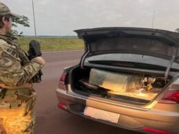 Dupla é presa com 189 quilos de maconha e carro roubado na BR-277