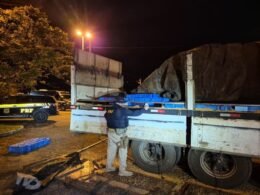 Motorista é preso com carga de celulares na BR-116
