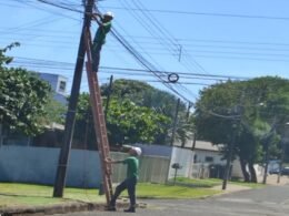 Dois homens são detidos por furto de fios no Portal da Foz