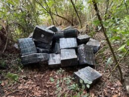 Carga de maconha é abandonada após perseguição às margens do Lago de Itaipu