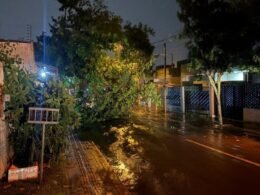 Tempestade com vendaval causa estragos e mobiliza equipes de emergência em Foz do Iguaçu