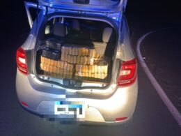 Carga de maconha é apreendida na BR-277 e suspeito foge pela mata