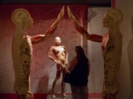 Mãe afirma ter encontrado corpo do filho em exposição de um museu