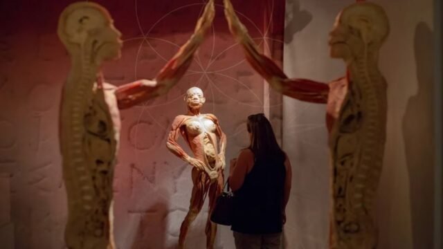 Mãe afirma ter encontrado corpo do filho em exposição de um museu