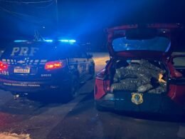 Homem é preso com 62 kg de maconha e 26 kg de skunk após fugir da PRF na BR-277