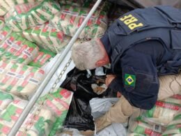 Carreta com placas do Paraguai transportava 3,1 toneladas de maconha sob carga de arroz
