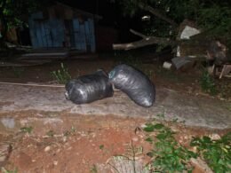 Suspeitos fogem e deixam 30 kg de maconha na margem do Rio Paraná
