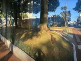Praça Naipi é revitalizada e se torna mais atrativa para famílias e turistas
