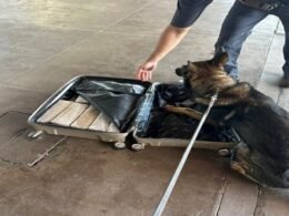 Passageira é presa com 21,6 kg de maconha na Rodoviária Internacional de Foz