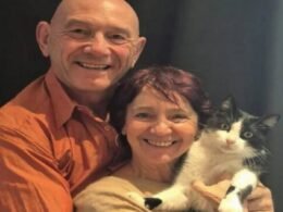 História impressionante: gato perdido percorre 250 km para voltar ao lar