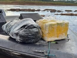 Fiscalização nas margens do Rio Paraná resulta em apreensões em série