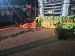 Mulher e caminhoneiro são presos com mais de 460 kg de drogas