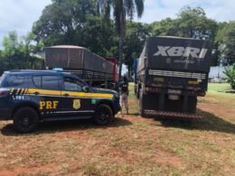 Veículos estrangeiros passam por pente-fino nas rodovias