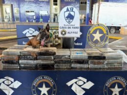 Van com fundo falso é flagrada com 85 kg de cocaína na Ponte da Amizade