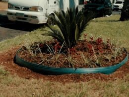 Mudas de flores são furtadas de canteiro central em Foz do Iguaçu