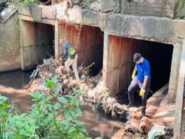 Foz do Iguaçu celebra o Dia da Água com mutirão de limpeza no Rio Boicy