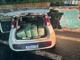 Perseguição termina com carro batido e mais de 160 kg de droga apreendidos