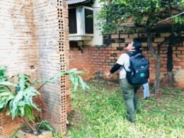 Foz do Iguaçu registra queda expressiva nos casos de dengue e completa mais de um ano sem mortes