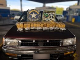 Cão farejador ajuda Receita Federal a localizar drogas em veículos paraguaios