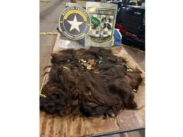 Homem é preso com carga de cabelo humano avaliada em R$ 150 mil na Ponte Internacional da Amizade
