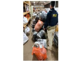 Fuga, colisão e prisão: perseguição da PRF termina com apreensão de drogas e carro roubado