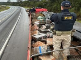 Dois homens são presos com quase 2,5 toneladas de maconha na BR-277