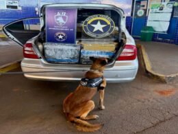 Motorista abandona veículo carregado com maconha e foge para o Paraguai