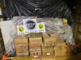 Motorista é preso com 721 kg de maconha escondidos em carga em Foz do Iguaçu