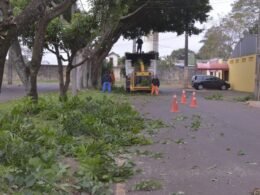 Mutirão recolhe cerca de 400 toneladas de lixo e entulhos na região de Três Lagoas