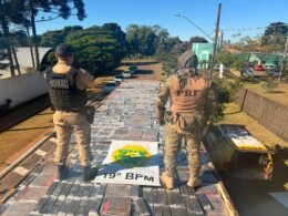 Homem é preso com carga de 2,6 toneladas de maconha na BR-467, em Cascavel