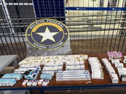 Fundo falso com abertura eletrônica escondia mais de 400 ampolas de medicamentos na BR-277