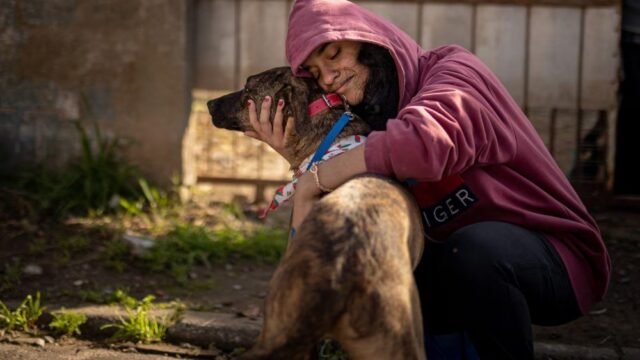Família reencontra cachorro desaparecido nas enchentes de 2024 no Rio Grande do Sul