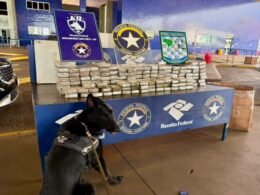 Cão farejador da Receita Federal ajuda a localizar 116 kg de maconha em veículo paraguaio