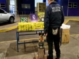 Agente canina Daphine encontra 90 kg de maconha ocultos em veículo na Ponte da Amizade