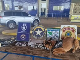 Agente canina Urla localiza 3,2 kg de haxixe em motocicleta na Aduana da Ponte da Amizade