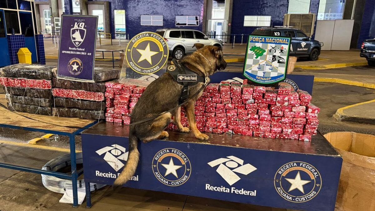 Nem precisou abrir a van: agente canino Pike achou 248 quilos de maconha na Ponte da Amizade