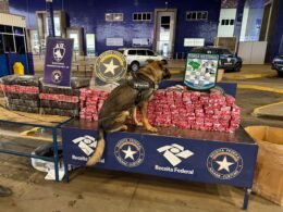 Nem precisou abrir a van: agente canino Pike achou 248 quilos de maconha na Ponte da Amizade