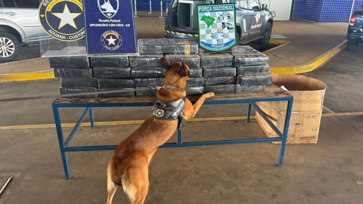 Largou o carro na Ponte da Amizade e correu para o Paraguai: dentro havia 249,8 kg de maconha