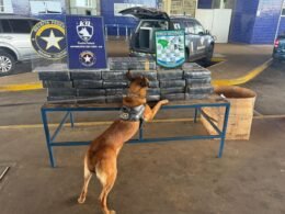 Largou o carro na Ponte da Amizade e correu para o Paraguai: dentro havia 249,8 kg de maconha