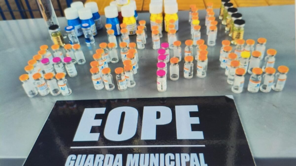 Colados ao corpo: Guarda Municipal acha anabolizantes e emagrecedores perto da rodoviária