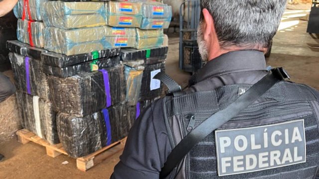 O que acontece com a droga apreendida na fronteira: 11 toneladas viraram cinza na sexta