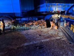 Cães farejadores da PRF encontram quase 300 kg de cocaína em carreta na BR-277