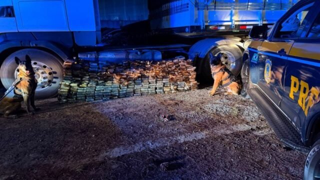 Cães farejadores da PRF encontram quase 300 kg de cocaína em carreta na BR-277