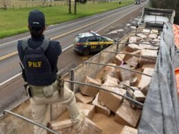 Motorista paraguaio é preso com mais de 3,5 toneladas de maconha em carreta na BR-277