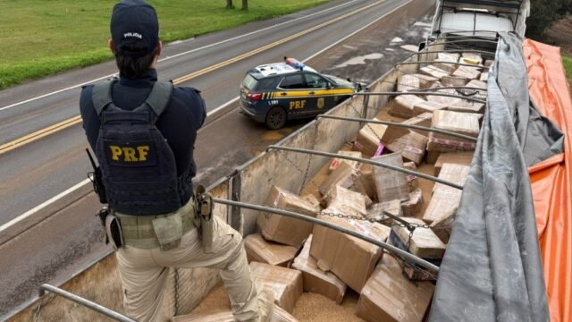 Motorista paraguaio é preso com mais de 3,5 toneladas de maconha em carreta na BR-277