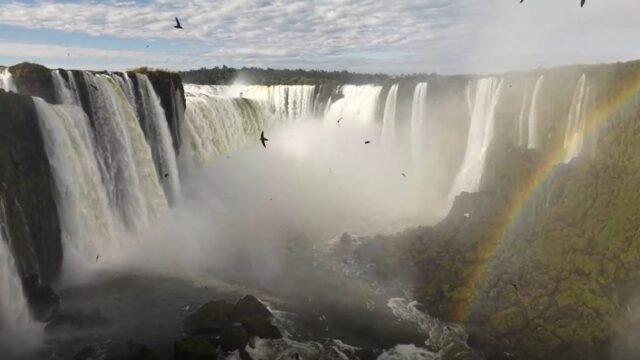 Primavera no Parque Nacional: onde ver surucuá, guaxe e andorinhão nas trilhas de Foz