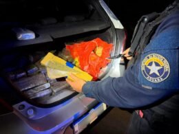 Motorista de 65 anos é preso com 110 kg de maconha no porta-malas