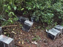 Barco do Paraguai deixa 520 quilos de maconha em trilha perto da Ponte da Integração