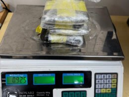 Cão farejador encontra 925 gramas de haxixe dentro de TV nos Correios em Foz